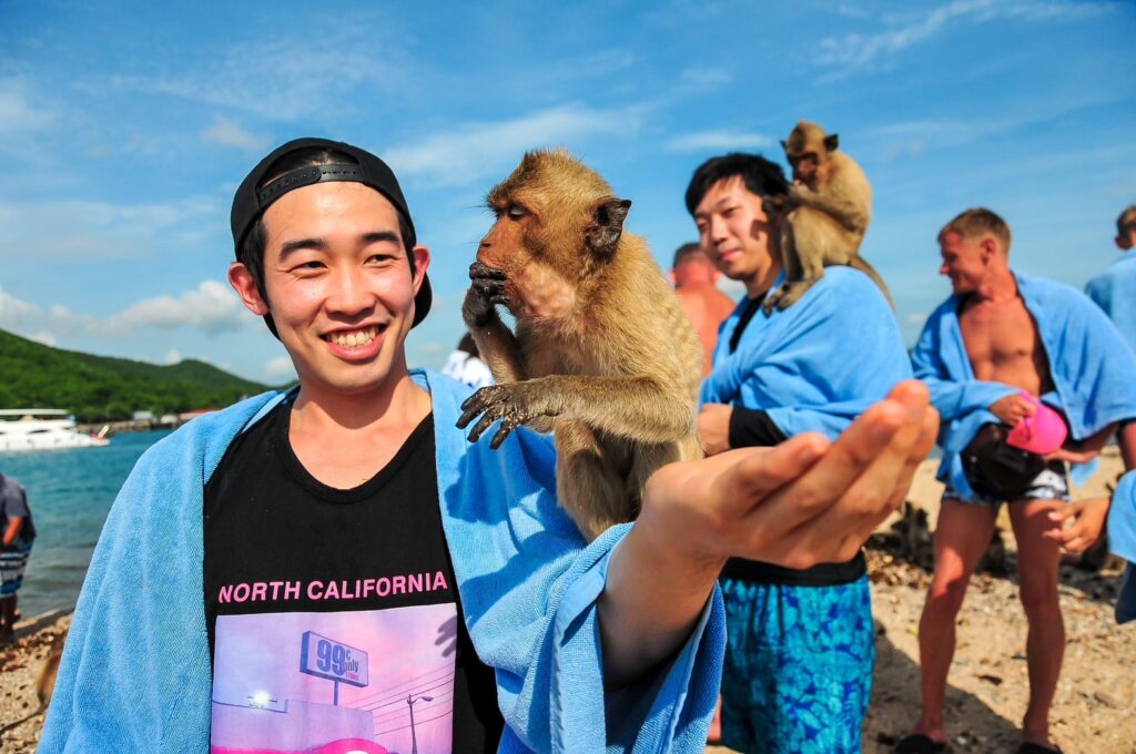 Monkey Island - Pattaya Islands