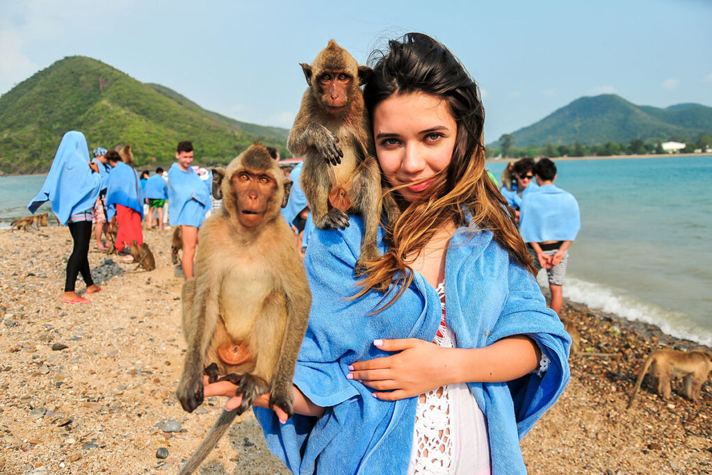 Monkey Island - Pattaya Islands